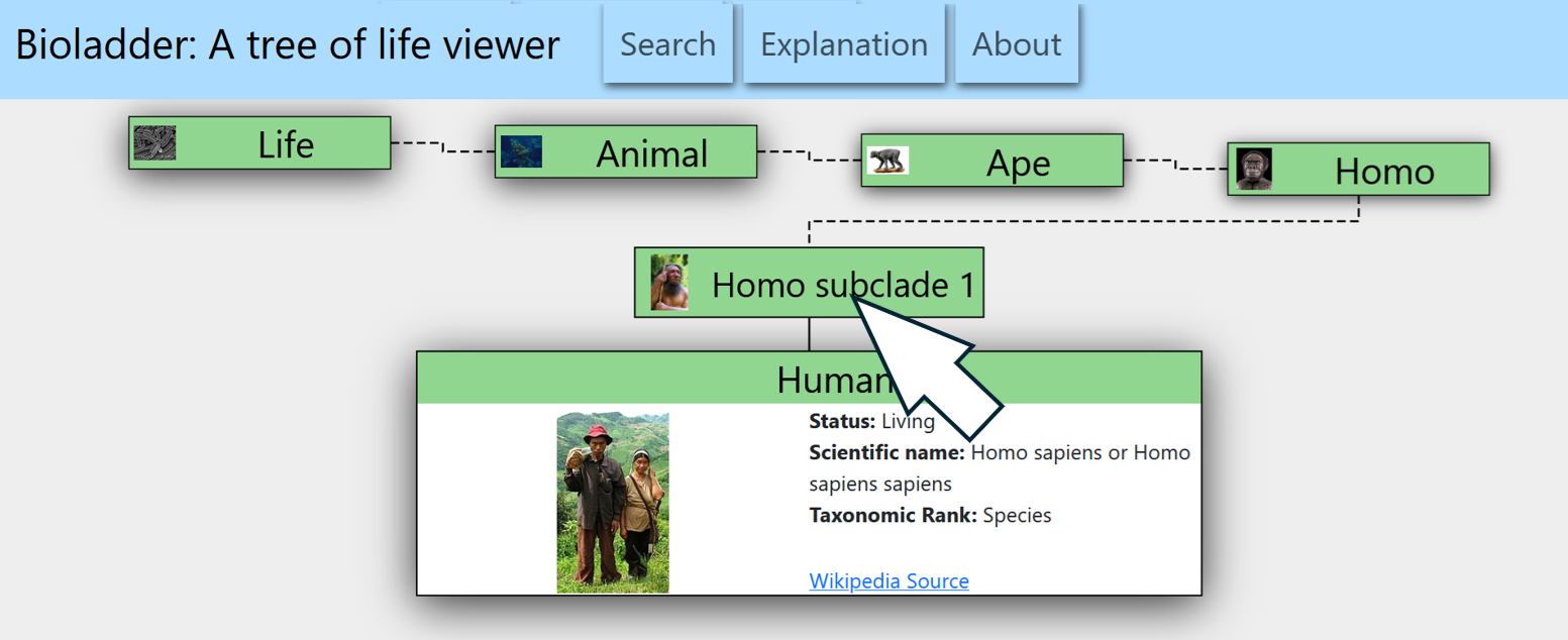 screenshot of the site, focus is on human and cursor is shown hovering over Homo subclade 1