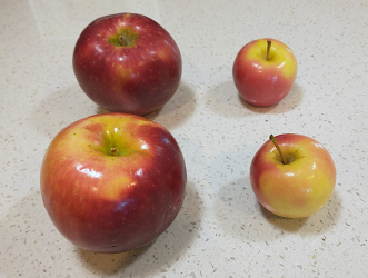 photo of the two regular size apples from before, but now next to two tiny apples